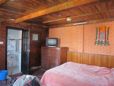 ちらちら、ぶーぶー　見る気になれないテレビ