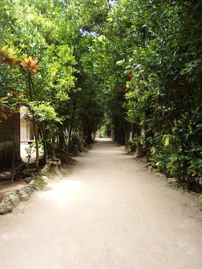 よく探さないとわからない並木