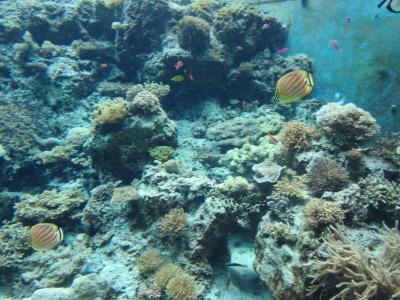 スケールがすごい！