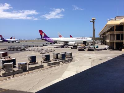 オープンな空港