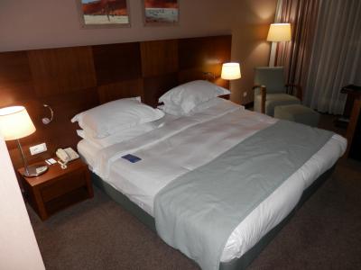 一番安い部屋のダブルです