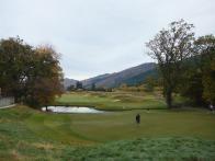 敷地内は一面緑です