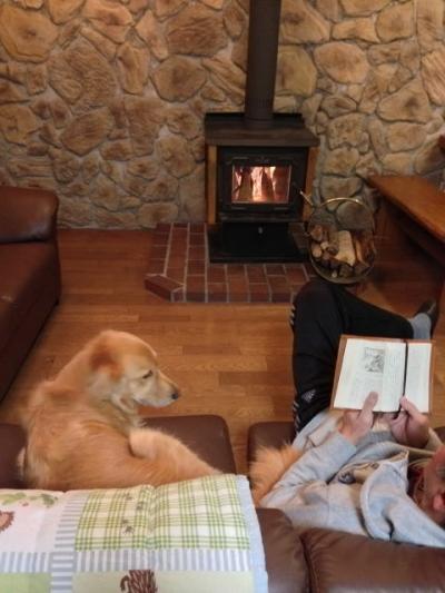 愛犬と楽しむ宿ですが、部屋に暖炉