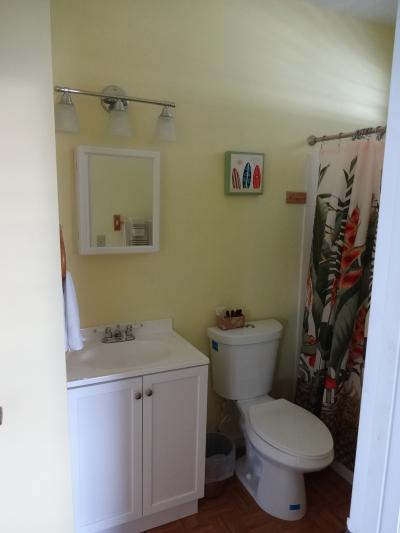 バスタブがカーテンの向こうにあります。