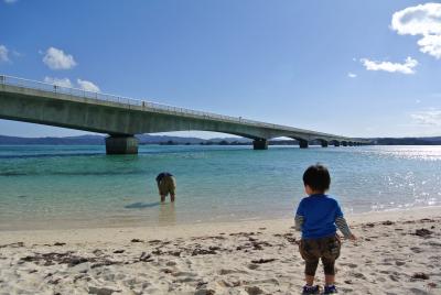 海が青い！きれい！沖縄きましたよ。