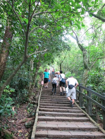 MRT信義線終点の「象山」から上る標高約190mの山、手軽な市民のハイキングコースになっていて賑わっています．山頂付近からは台北市内が一望でき台北101が展望できます．