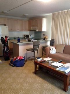 左側に移っているのがキャディバッグ