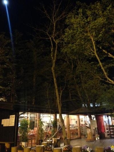 森の中でピザ。