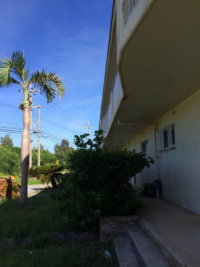 西表ココナツビレッジ