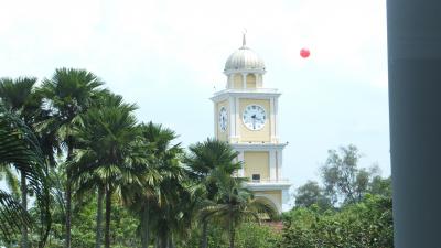 シスル ジョホール バル 