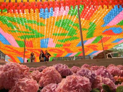 空が見えないほどの提灯で埋め尽くされた「曹渓寺」