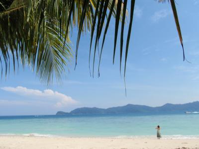 コタキナバルからすぐの離島でダイビング！！