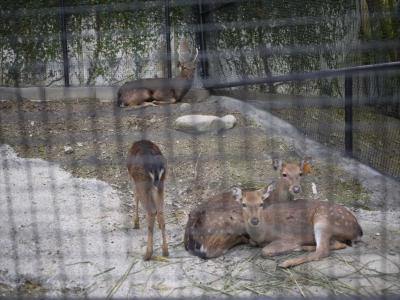 家族でのんびり滞在するのにぴったり