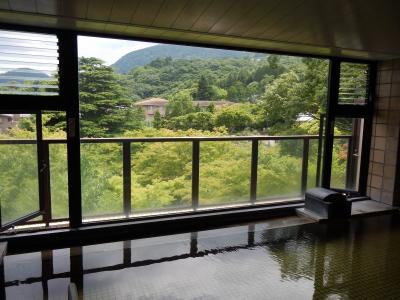 強羅温泉 翠光館