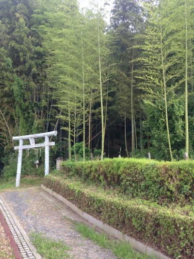 多喜山城跡 日向山石段