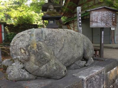 期待以上の見ごたえ！