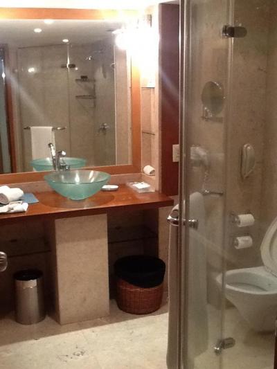 バスタブとシャワーブース、両方ある