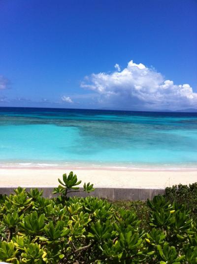 日本のビーチで初めて見た色