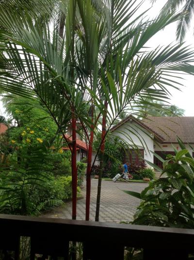 受付からの様子