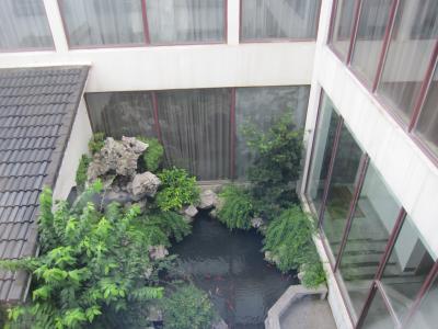 窓から下を見下ろすと、小さな庭がありました。