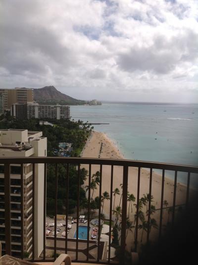 家族連れにぴったり！