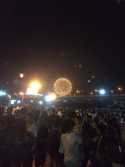 毎年見にいってます