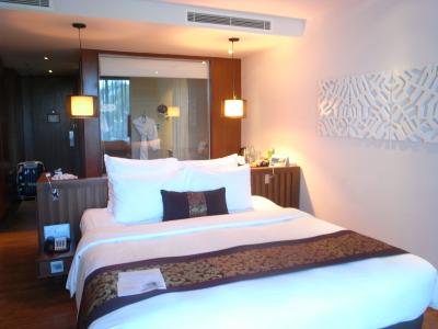 デラックスガーデンビュー（3103）、一人では十分な広さです