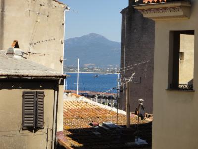 客室からの景色