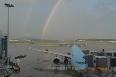 ダイバートの対応がよかった