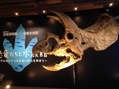 京都水族館へ！