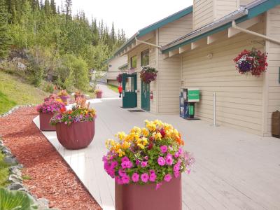 小奇麗にしてある