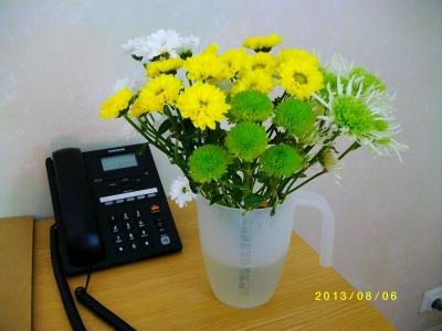 2週間の滞在だったので近所で花を買ってきました。