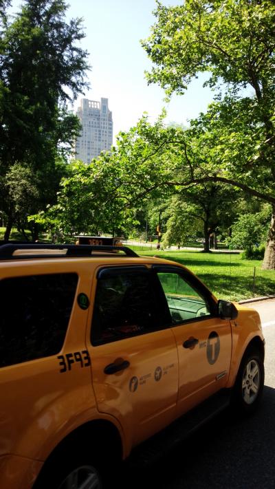 移民ドライバーとのコミュニケーションが楽しい