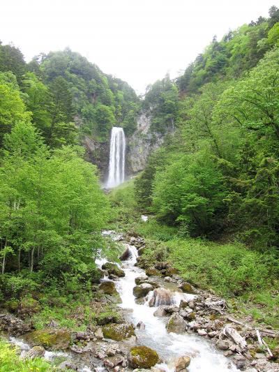 想像以上に見応えのある滝！平湯に来たら是非一度見てみて！！