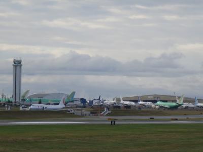 ホテルの駐車場より