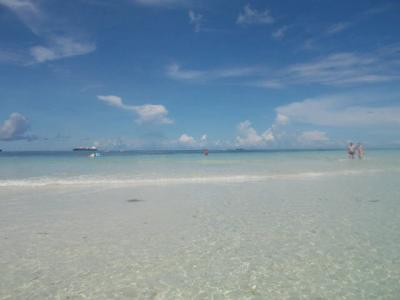 透き通る海・青い空・目の前にいる色とりどりの熱帯魚