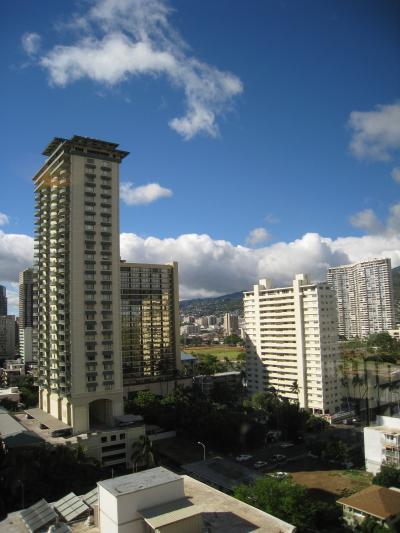 角部屋からの眺め（アラワイ運河方向）