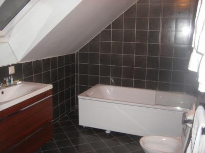 304号室のホテル唯一のバスタブです。