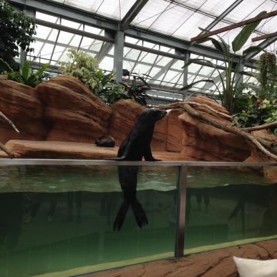 神戸どうぶつ王国（元花鳥園）に行ってきました