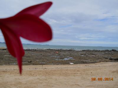 ホテルから徒歩すぐのビーチ　虫多い・・・