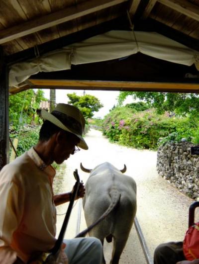 竹富島観光といったら水牛車でしょう。