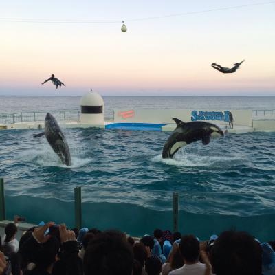 鴨川シーワールド