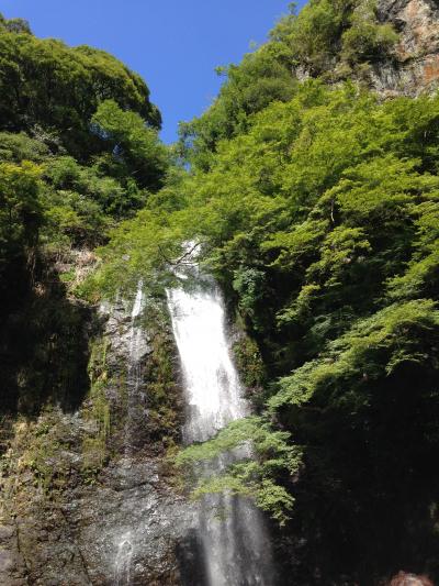 ちょうどよい散策コース