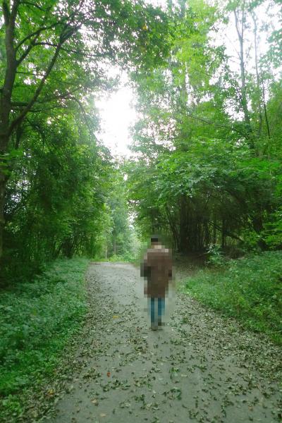 ホテル周辺は緑が一杯