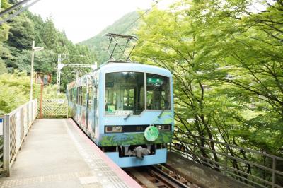 景色を堪能できる車両があります