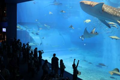 定番の観光スポット