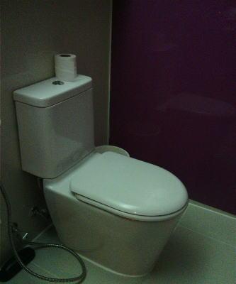 ペーパーホルダーがないので紙を持って用を足します。