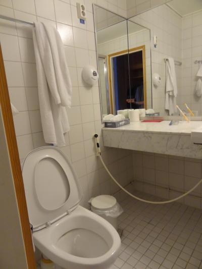 トイレもきれい、」洗面台の下側に見えるパイプ状のものはビデ代