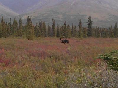 次はガイドツアーに行ってみたい