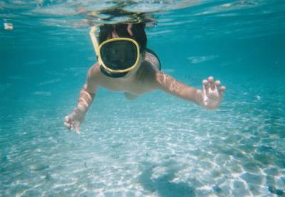 海でお魚見られた